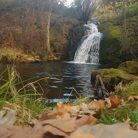 Tatil Evi Casa Do Eiro Pinheiro (Guarda)
