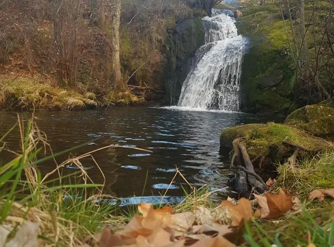 Holiday home Casa Do Eiro Pinheiro (Guarda)